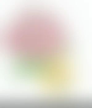 照れない君を