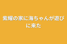 紫耀の家に海ちゃんが遊びに来た