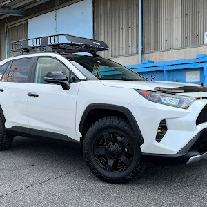 RAV4 MXAA54