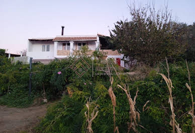 Maison avec terrasse 1