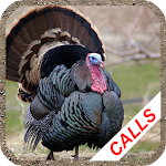 Turkey calls Apk