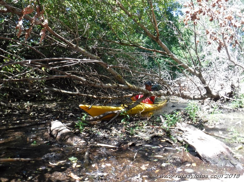 Kayak río Palmones