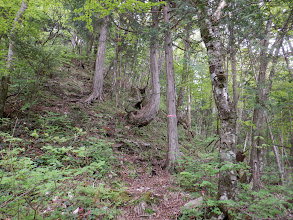 深山の雰囲気に