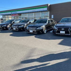 LS USF41