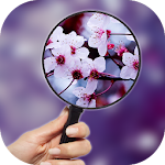 Magnifying Glass VS Flashlight Apk