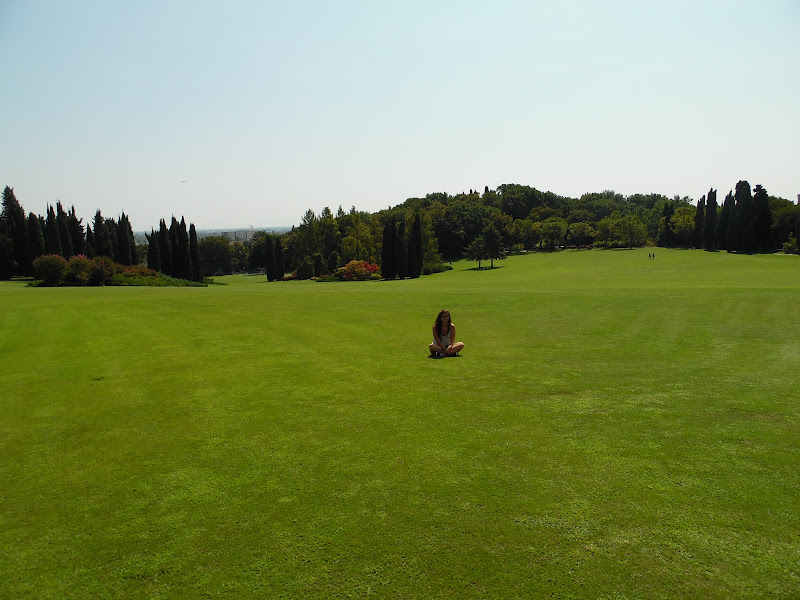 Parco Sigurtà di roselli_na