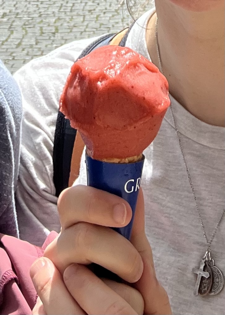 Strawberry sorbet dairy free