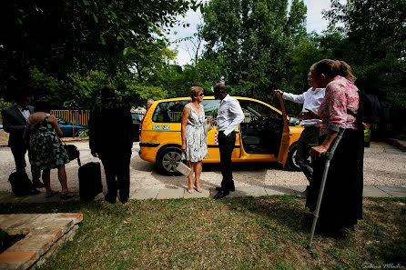 Fotógrafo de bodas Sabina Mladin (sabina). Foto del 2 de octubre 2017