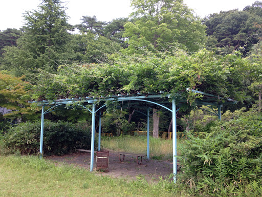 桜ヶ丘東公園の休憩所