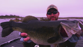 Largemouth of the Deep South thumbnail