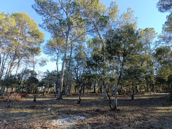 terrain à Le Thoronet (83)