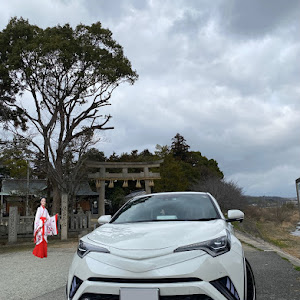 C-HR ZYX10