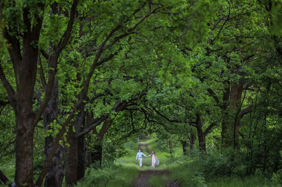 Wedding photographer Svitlana Minakova (minakova). Photo of 8 May 2018