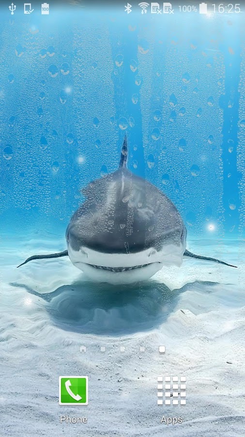 Shark Live Wallpaper  Android Apps on Google Play