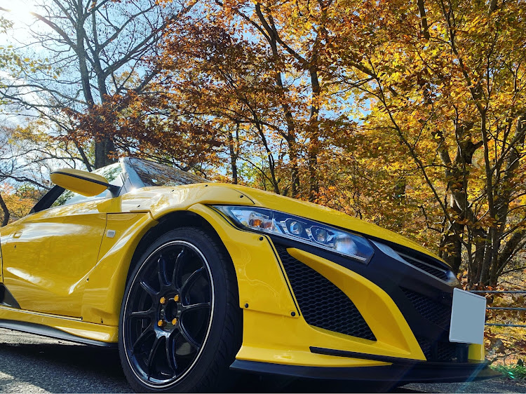 S660の地べた撮り・RZⅡ・エスロク・車屋が信用出来ないに関するカスタム事例の投稿画像1枚目