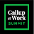 Gallup at Work Summit icon