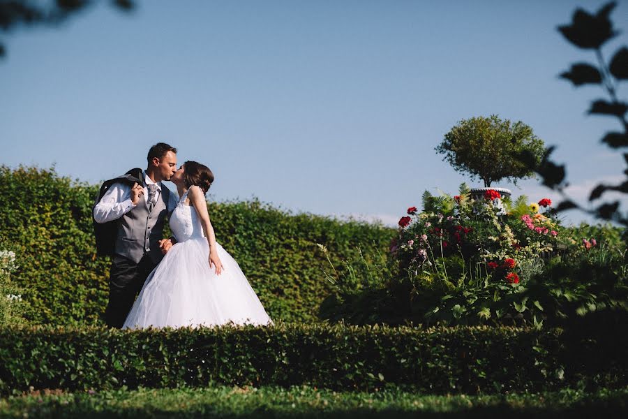 Photographe de mariage Aleksandr Pu (alexanderpuziy). Photo du 28 août 2015