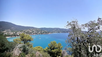 appartement à Le Lavandou (83)