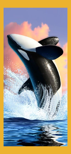 Screenshot Orca Whale Wallpaper Live HD