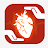 Perioperative risk icon