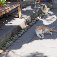 太麻里文創咖啡館