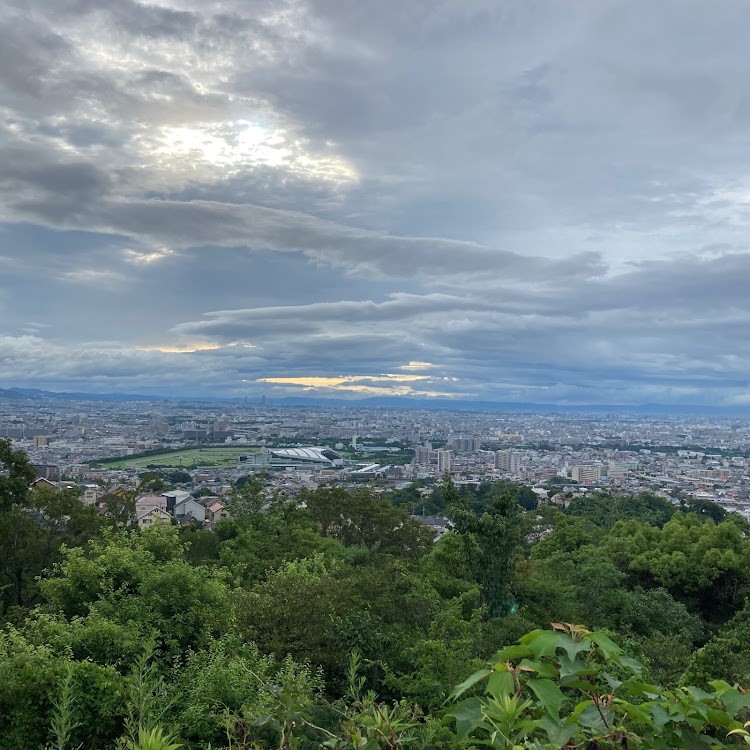 アルトワークスの早朝ドライブ・甲山・甲山森林公園に関するカスタム事例の投稿画像7枚目