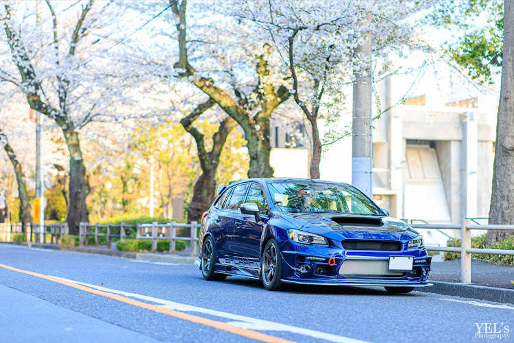 レヴォーグの桜と愛車に関するカスタム事例の投稿画像2枚目