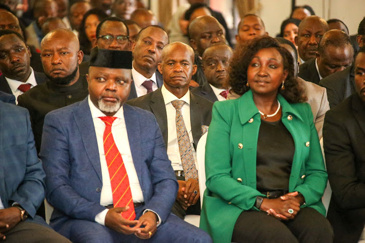 National Assembly Deputy Speaker Gladys Boss Shollei during Kenya Kwanza Parliamentary Group (PG) at State House on May 23, 2023