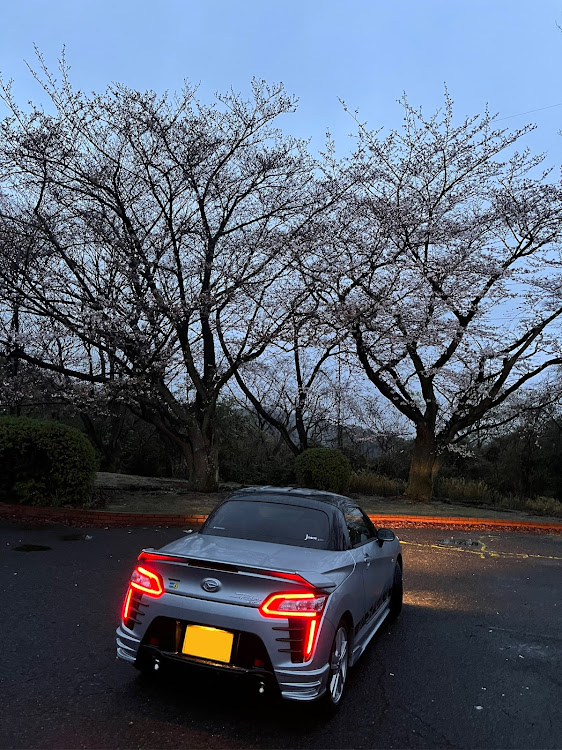 コペンのコペンローブS・桜とコラボ・鷲羽山スカイラインに関するカスタム事例の投稿画像3枚目