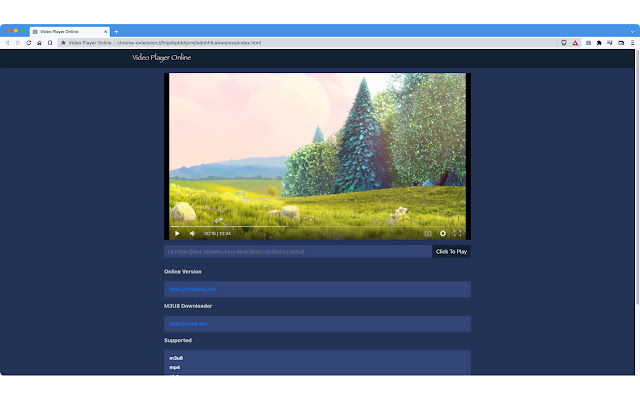 Video Player Online chrome extension