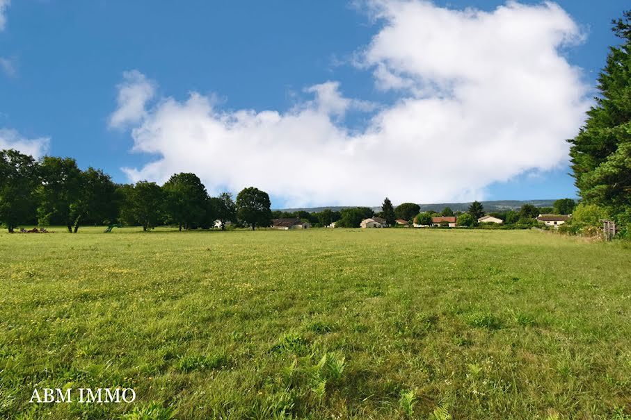 Vente terrain  8000 m² à Mouleydier (24520), 87 000 €