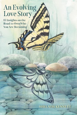 An Evolving Love Story cover