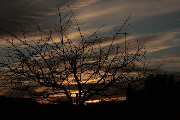 alba e natura  di lupla