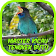 Kicau Burung Tengkek Gacor Download on Windows