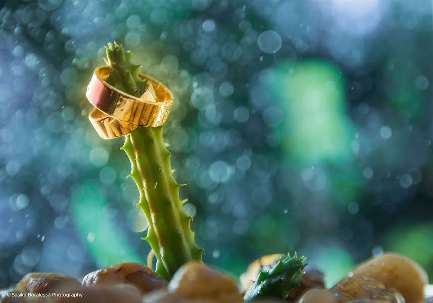 Fotograf ślubny Sasika Boralessa (sasikaboralessa). Zdjęcie z 8 listopada 2019