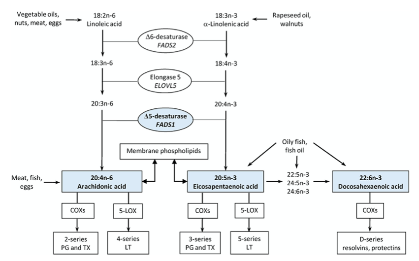 Diagram

Description automatically generated