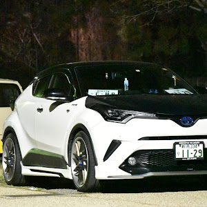 C-HR ZYX10