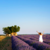 Nella lavanda di 