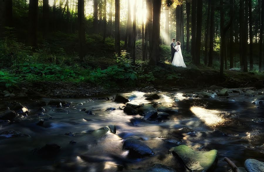 Fotógrafo de bodas Roman Zayac (rzphoto). Foto del 9 de octubre 2017