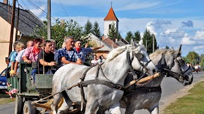 Jákó Szüreti Felvonulás 2016