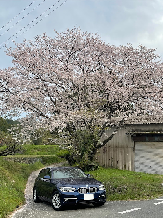 の投稿画像6枚目