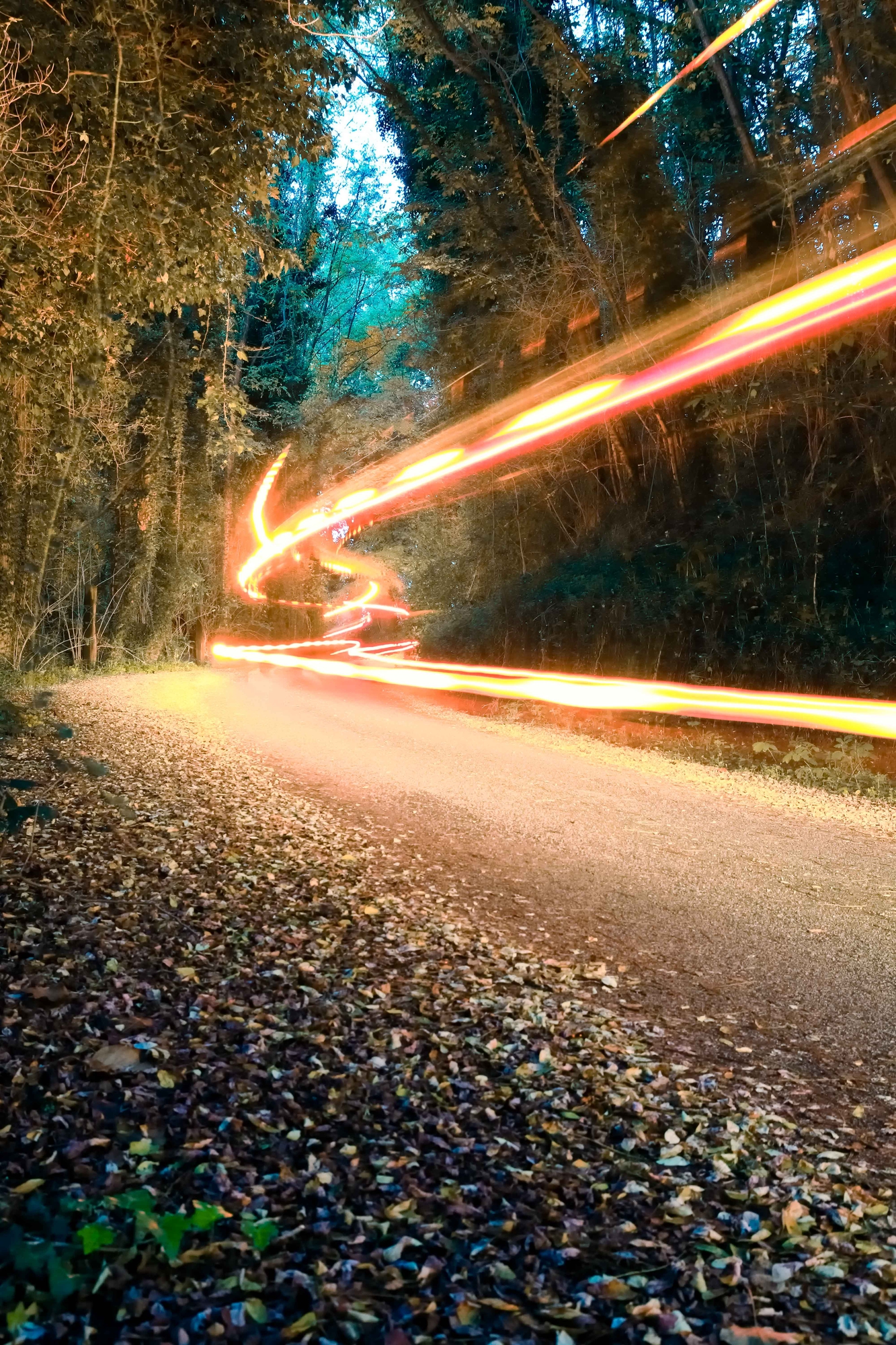 Autumn Street di Gianluca Gerardi