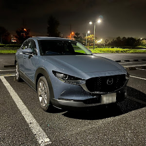 CX-30 DM8P