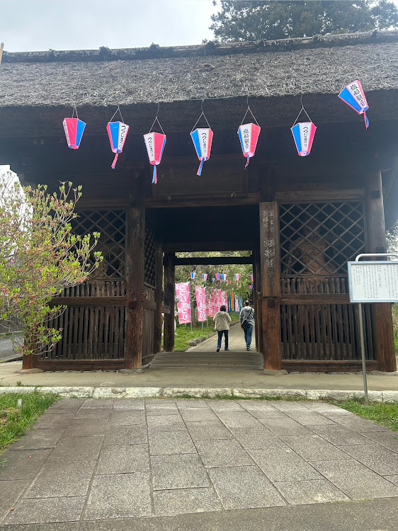 フーガのフォロー大歓迎・適当に撮影・つつじ祭り・y51フーガ・よろしくお願いいたします🙇に関するカスタム事例の投稿画像2枚目