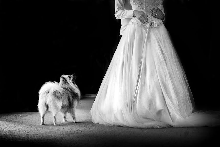 Fotografo di matrimoni Stefano Ferrier (stefanoferrier). Foto del 1 febbraio 2019