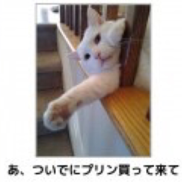 かずさんが投稿したしょーもない小ネタに関するカスタム事例の投稿画像2枚目