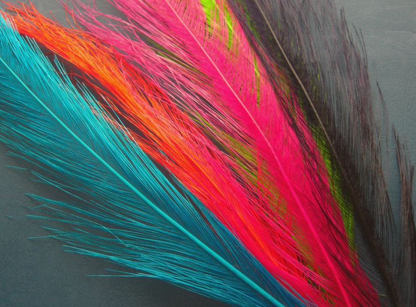 Fly Tying Feathers - RHEA - The Canadian Tube Fly Company