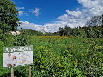 terrain à Taintrux (88)