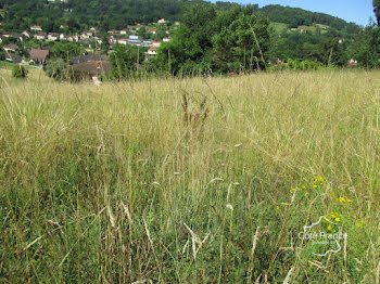 terrain à Sarlat-la-caneda (24)