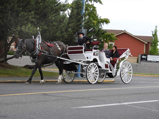 A horse-drawn carriage takes visitors along the waterfront of Victoria, British Columbia. 